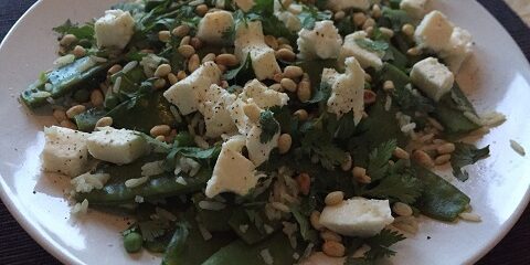 rijstsalade met mozzarella